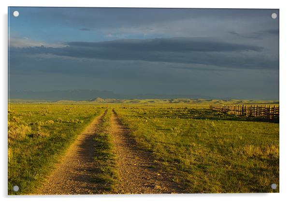Near Dillon, Montana Acrylic by Claudio Del Luongo