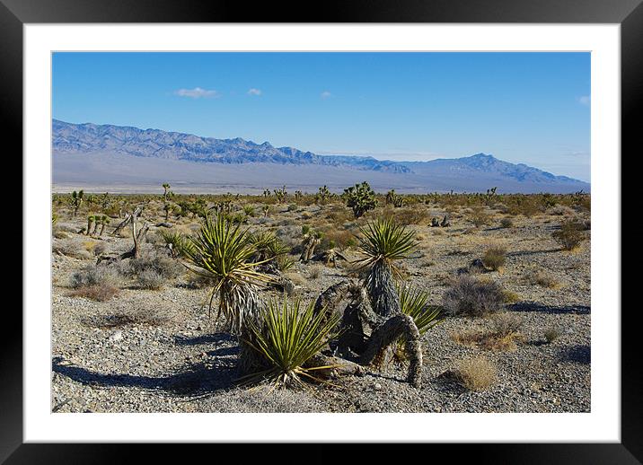 Nevada Desert near Las Vegas Framed Mounted Print by Claudio Del Luongo