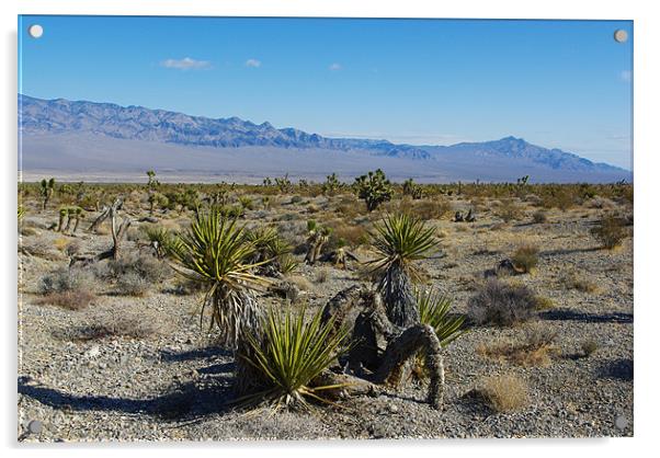 Nevada Desert near Las Vegas Acrylic by Claudio Del Luongo
