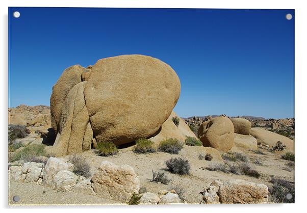 Rock Formation, Joshua Tree National Park, Califor Acrylic by Claudio Del Luongo