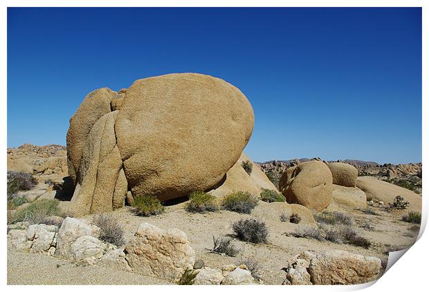 Rock Formation, Joshua Tree National Park, Califor Print by Claudio Del Luongo