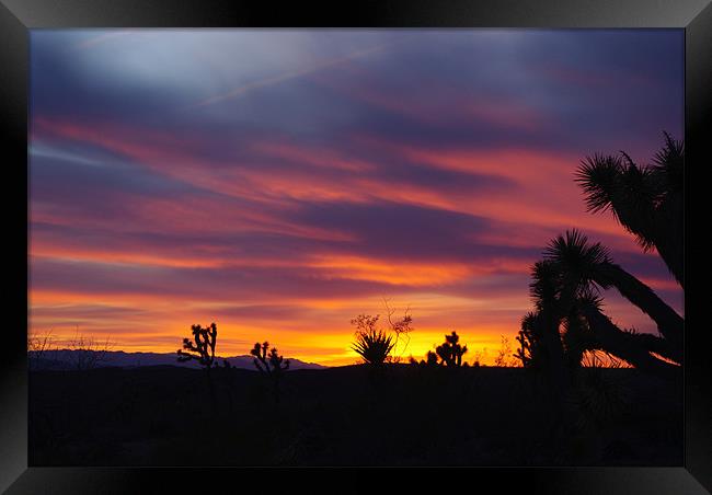 Nevada sunset Framed Print by Claudio Del Luongo