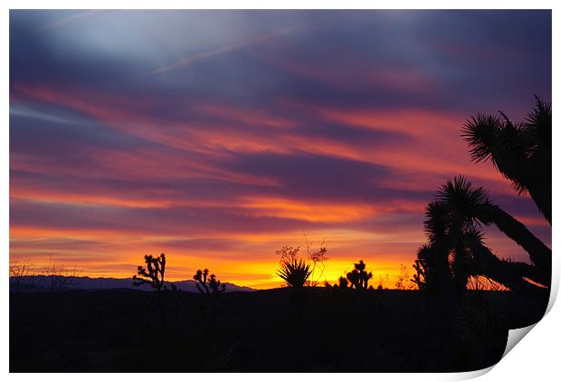 Nevada sunset Print by Claudio Del Luongo