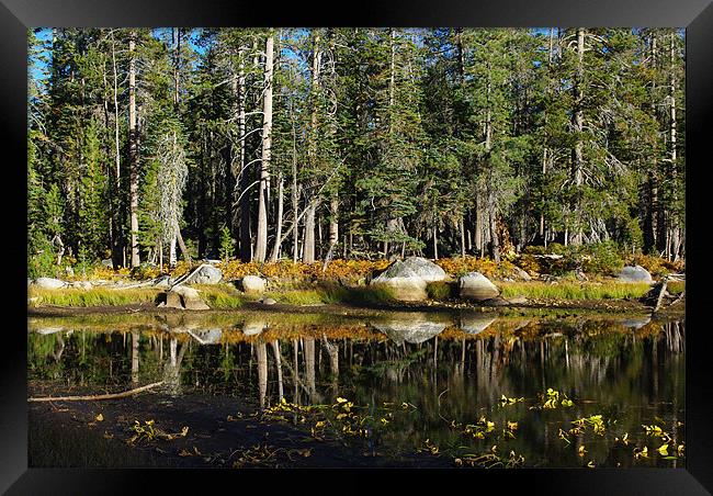 Beautiful pond near Edison Lake, California Framed Print by Claudio Del Luongo