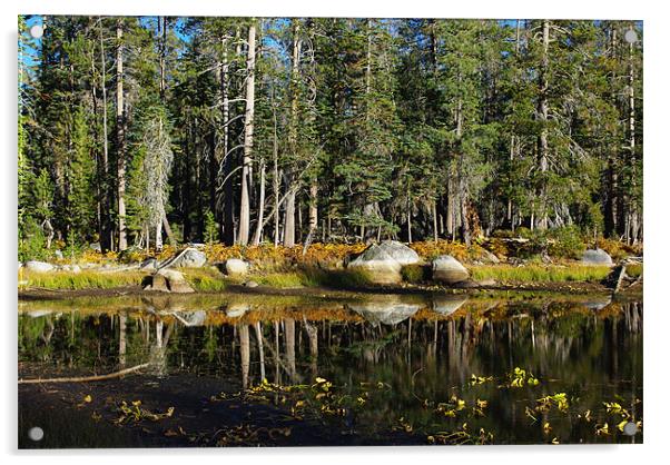 Beautiful pond near Edison Lake, California Acrylic by Claudio Del Luongo