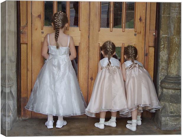Three Little Bridesmaids Canvas Print by Alan Kirkby