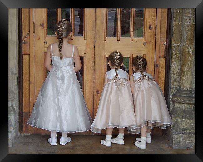 Three Little Bridesmaids Framed Print by Alan Kirkby
