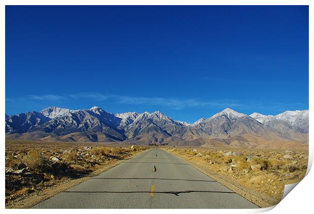 Road to Sierra Nevada, California Print by Claudio Del Luongo