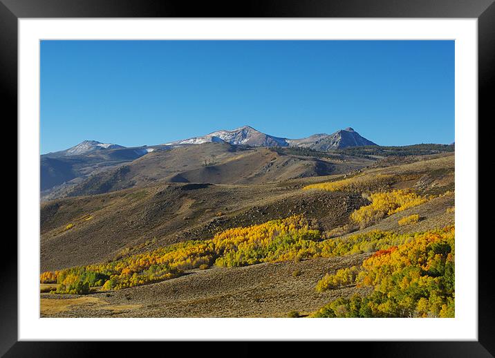 Autumn in mountains near Bridgeport, California Framed Mounted Print by Claudio Del Luongo