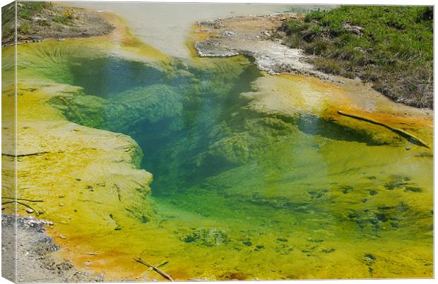 Beautiful hot Pool, Yellowstone Canvas Print by Claudio Del Luongo