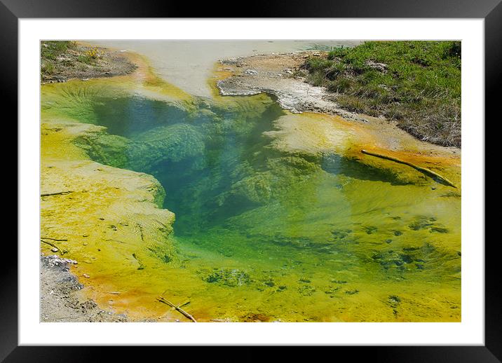 Beautiful hot Pool, Yellowstone Framed Mounted Print by Claudio Del Luongo