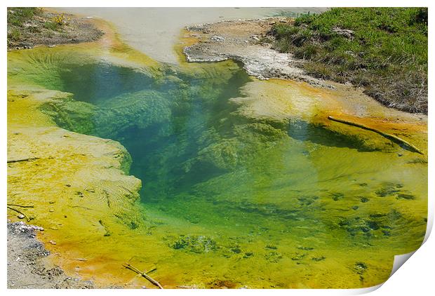 Beautiful hot Pool, Yellowstone Print by Claudio Del Luongo