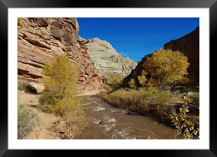 Autumn around Fremont River near Fruita, Utah Framed Mounted Print by Claudio Del Luongo