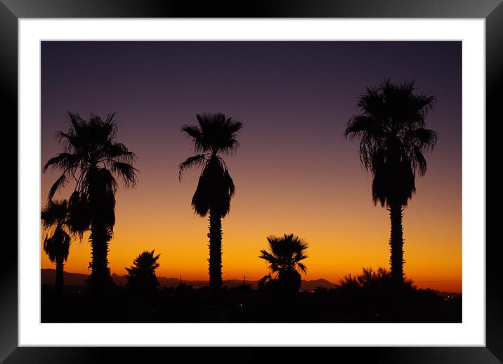 Arizona sunset with palms Framed Mounted Print by Claudio Del Luongo