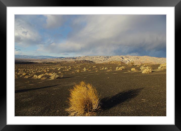 Near Ubehebe Crater, Death Valley Framed Mounted Print by Claudio Del Luongo