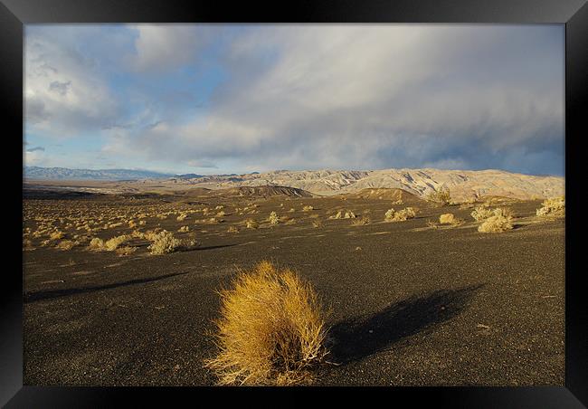 Near Ubehebe Crater, Death Valley Framed Print by Claudio Del Luongo