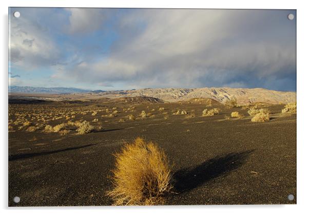 Near Ubehebe Crater, Death Valley Acrylic by Claudio Del Luongo