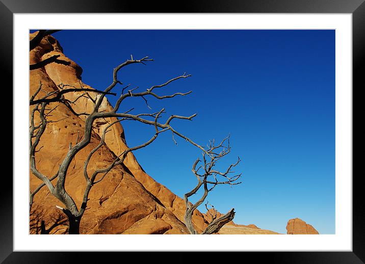 Colours of Arches National Park, Utah Framed Mounted Print by Claudio Del Luongo