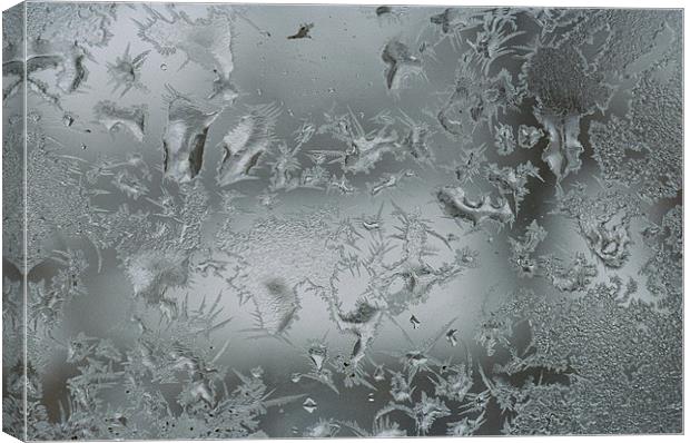 Frost on a frosted window  Canvas Print by Donna-Marie Parsons