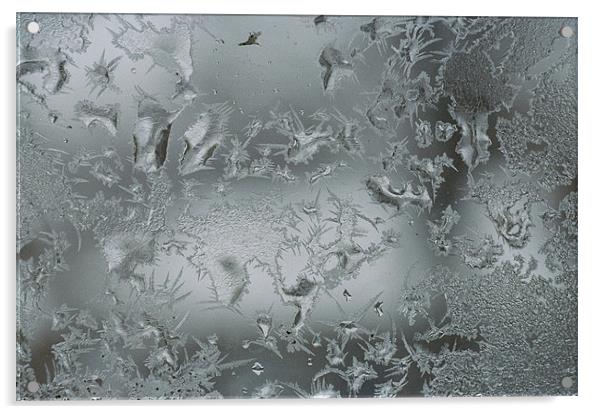 Frost on a frosted window  Acrylic by Donna-Marie Parsons