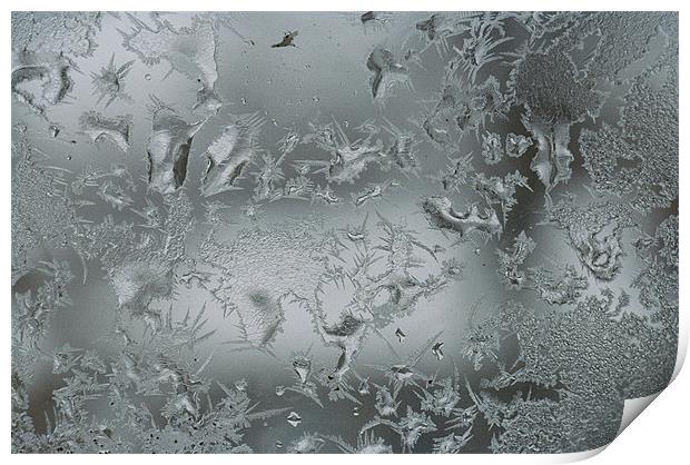 Frost on a frosted window  Print by Donna-Marie Parsons