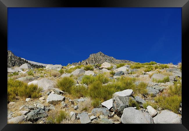 Sierra Nevada, California Framed Print by Claudio Del Luongo