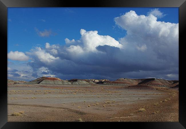 Clouds and blue sky on Petrified Forest Framed Print by Claudio Del Luongo