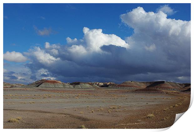 Clouds and blue sky on Petrified Forest Print by Claudio Del Luongo