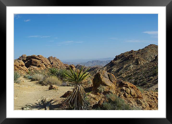 Yuccas, Rocks and Mountains Framed Mounted Print by Claudio Del Luongo