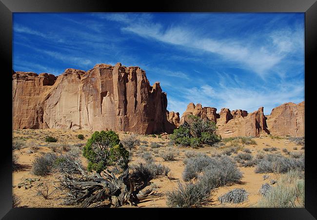 Arches National Park impression, Utah Framed Print by Claudio Del Luongo
