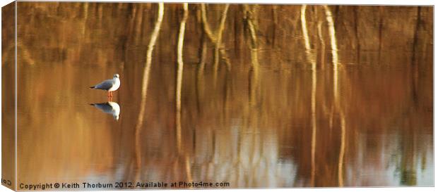 Lagoons Reflection Canvas Print by Keith Thorburn EFIAP/b