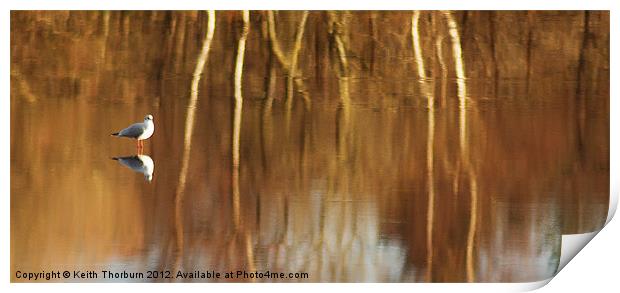 Lagoons Reflection Print by Keith Thorburn EFIAP/b