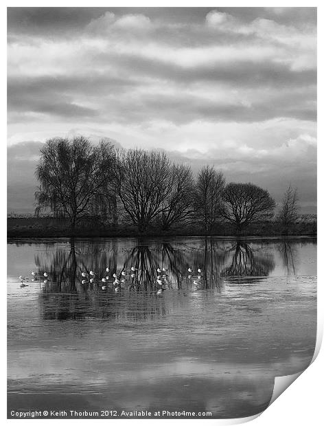 Musselburgh Lagoons. Print by Keith Thorburn EFIAP/b