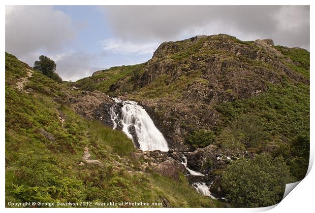 Green Grass, White Water Print by George Davidson