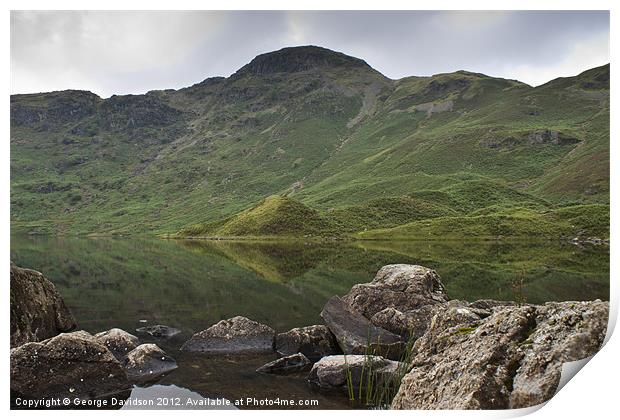 Alcock Tarn Print by George Davidson