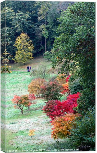 Autumn family stroll Canvas Print by Steve Hughes