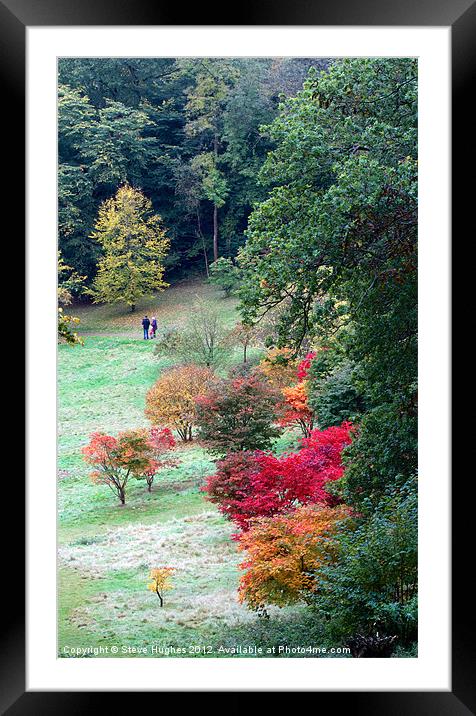Autumn family stroll Framed Mounted Print by Steve Hughes