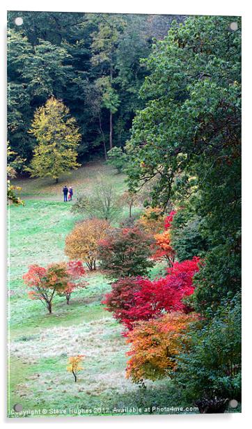 Autumn family stroll Acrylic by Steve Hughes