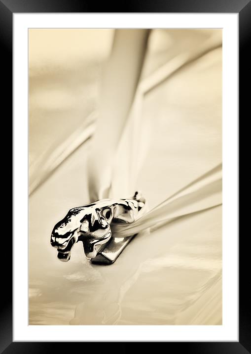 jaguar wedding car Framed Mounted Print by meirion matthias