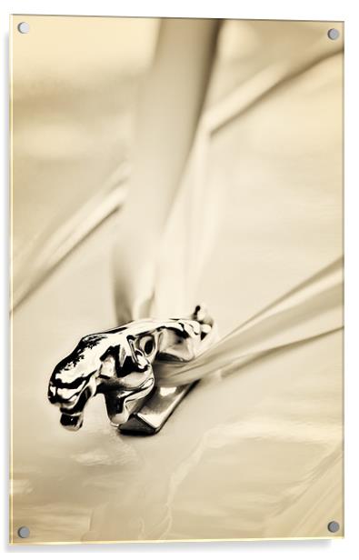 jaguar wedding car Acrylic by meirion matthias