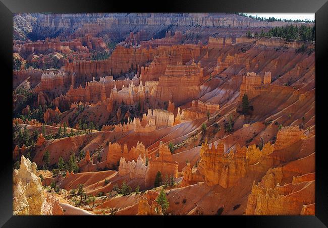 Bryce Canyon, Utah Framed Print by Claudio Del Luongo