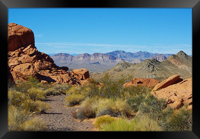 Near Lake Mead, Nevada Framed Print by Claudio Del Luongo