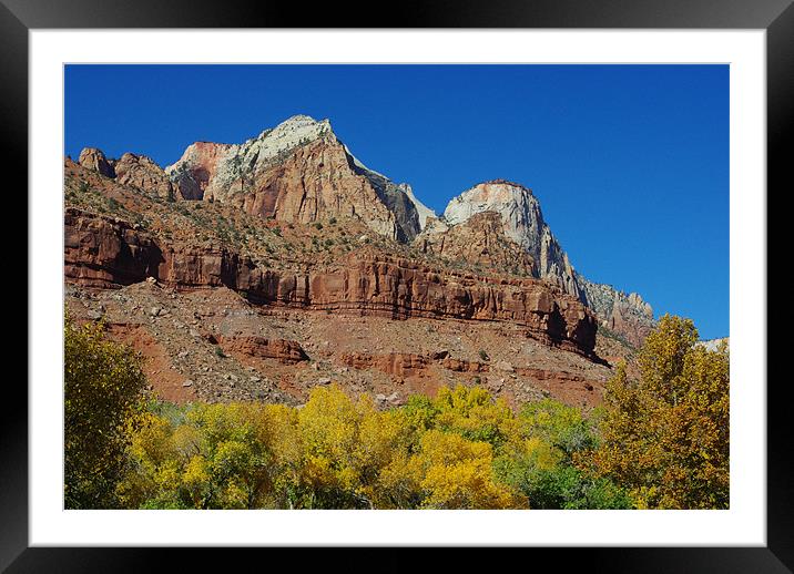 Autumn colors in Zion, Utah Framed Mounted Print by Claudio Del Luongo