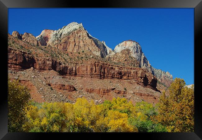 Autumn colors in Zion, Utah Framed Print by Claudio Del Luongo