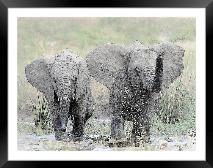 Elephants making a splash Framed Mounted Print by Keith Furness