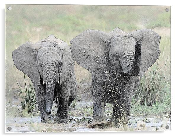 Elephants making a splash Acrylic by Keith Furness