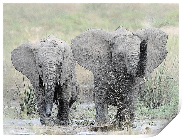 Elephants making a splash Print by Keith Furness