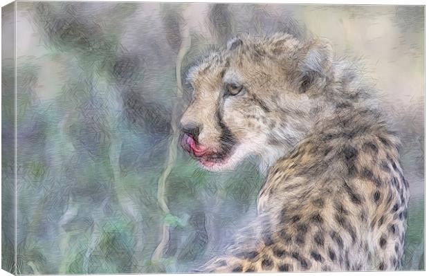 Licking Leopard Canvas Print by Keith Furness