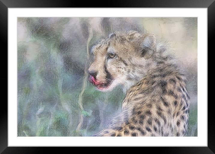 Licking Leopard Framed Mounted Print by Keith Furness