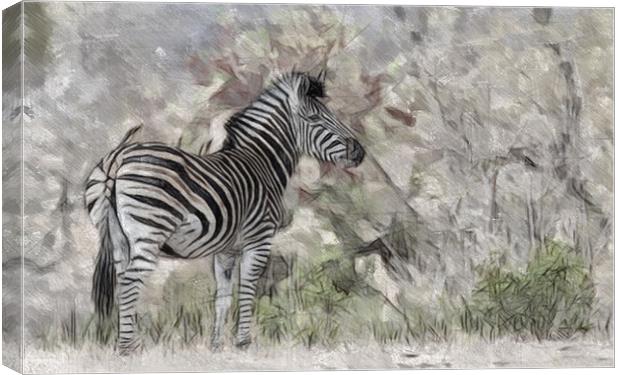Zebra In The Wild Canvas Print by Keith Furness